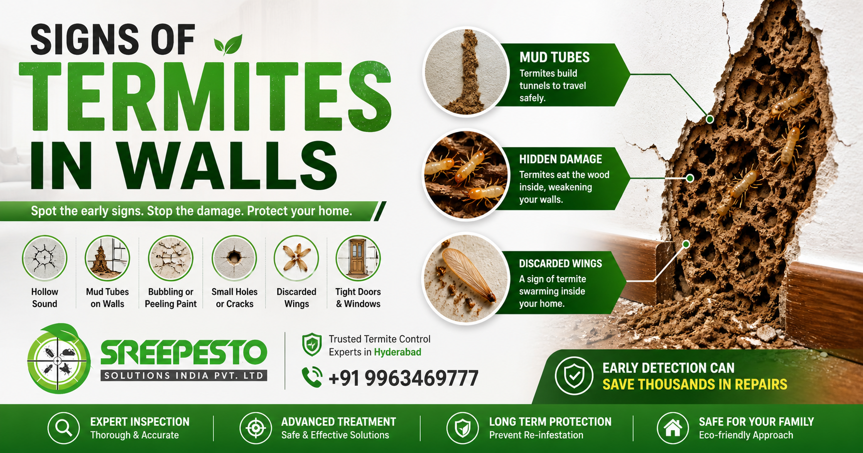 signs of termites in wall